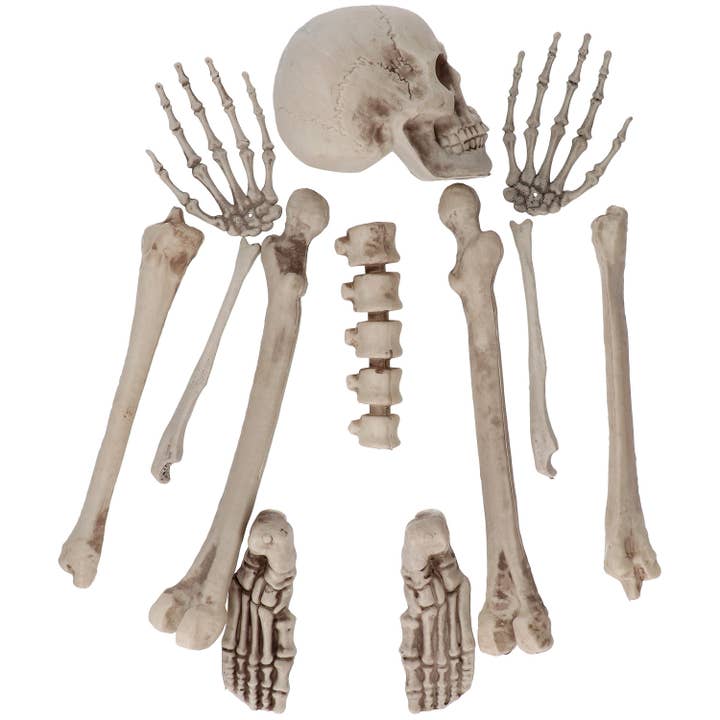 Dekorationssæt - Skelet i separate dele - 12 dele for engroshandel hos Folat BV