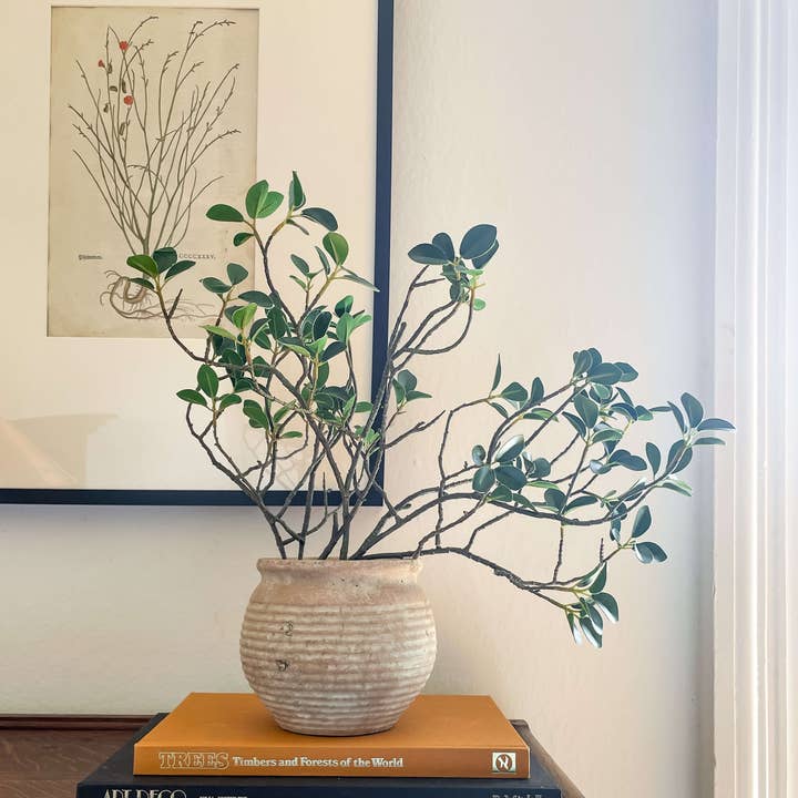 Hycroft Home Decor - Wholesale Plant Pot - Lazio Rustic Vintage-Style Terracotta Pot with Aged Look4