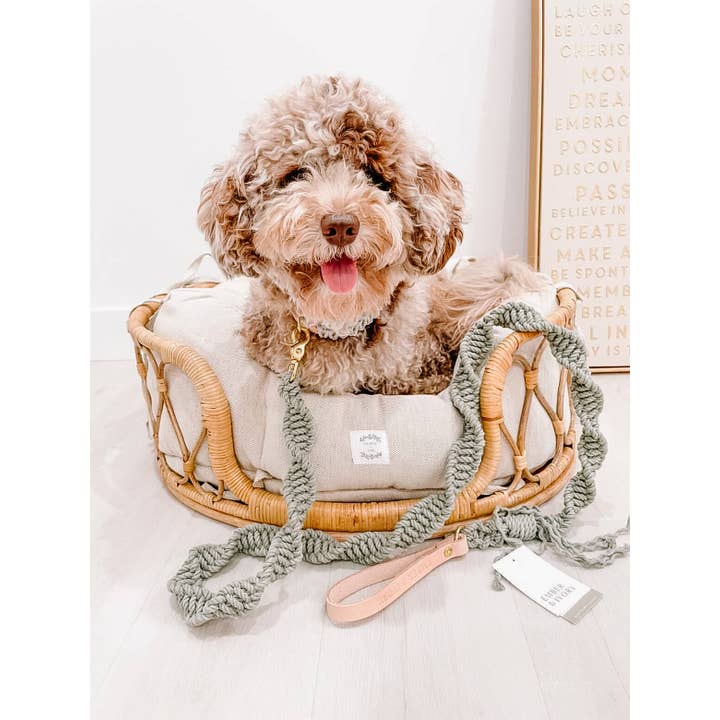 EMBER & IVORY – trela - Cão por atacado – Trela Macramé para Cão c/ Alça em Pele - Corda Verde Sage