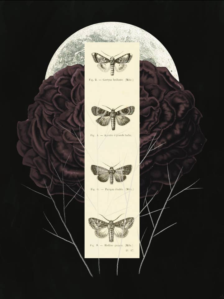 "Der Vollmond ruft" Kunstdruck | Collagekunst, stimmungsvolle Natur, kein KI für den Großhandel von Amy Teawalt Studio