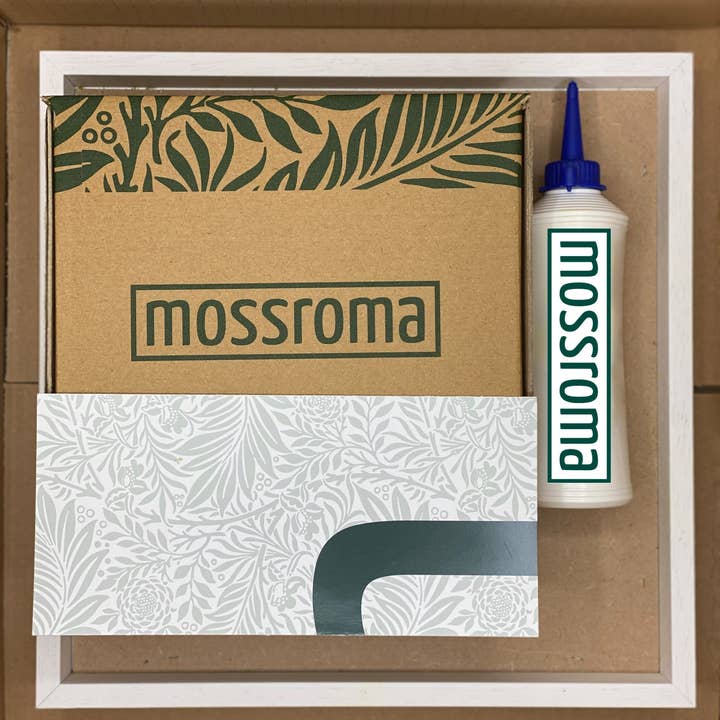 Mossroma - Wholesale DIY Craft Kit - DIY kit for stabilized frame: Reindeermoss3