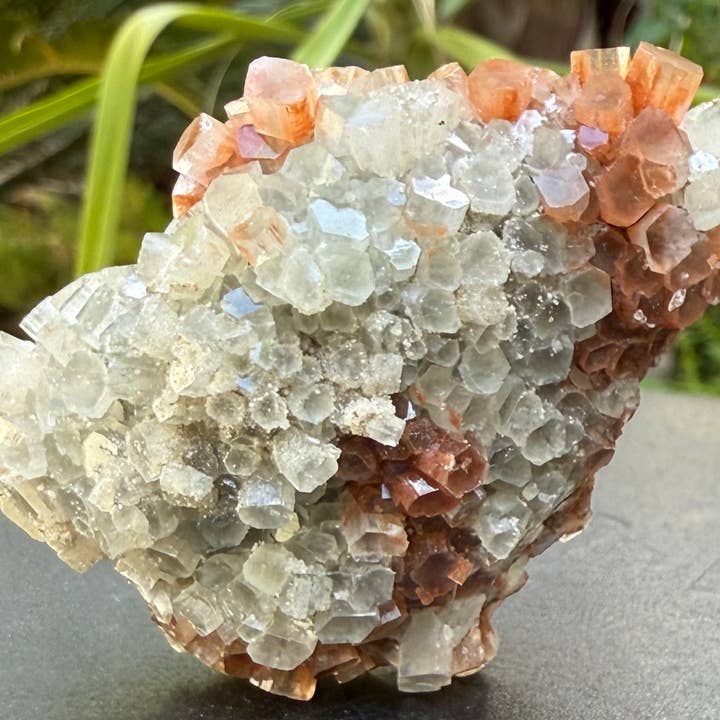 Metaphysical & Healing Crystals - Wholesale Spiritual Stone/Crystal - ARAGONITE CLUSTERS FROM MOROCCO26