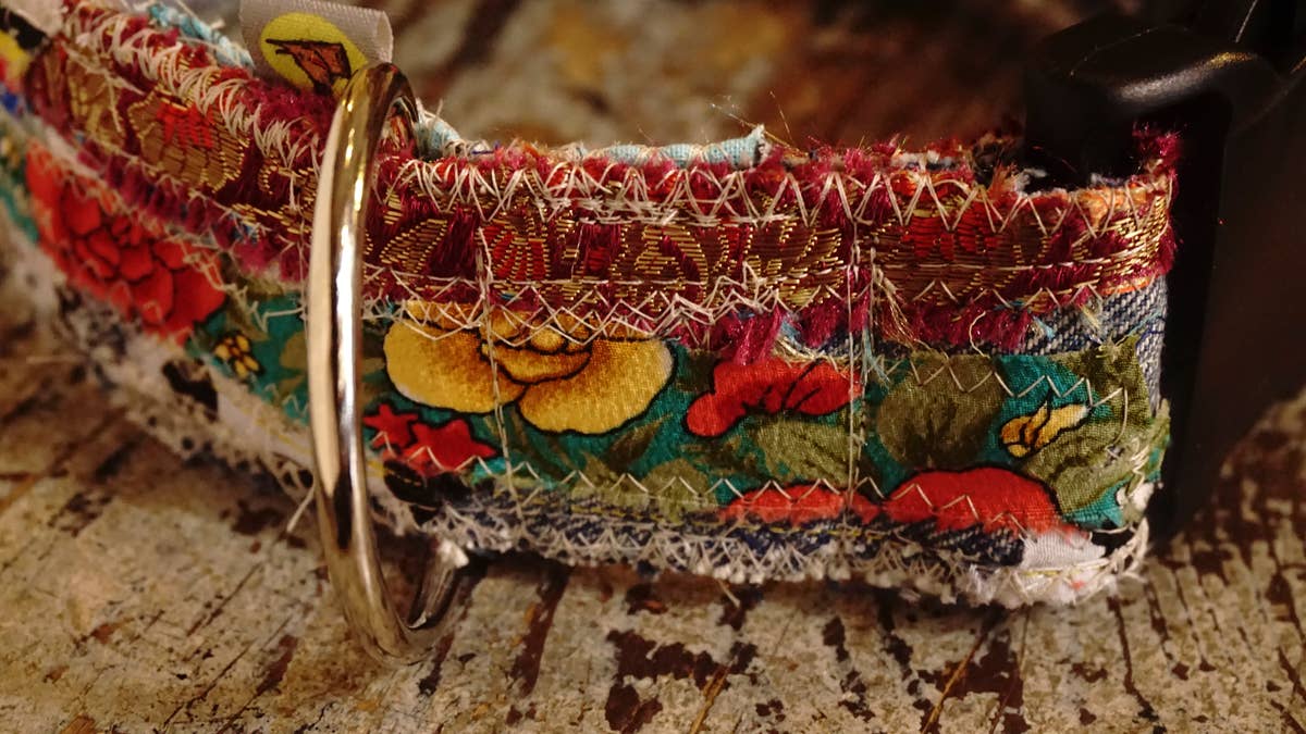 hundsfutter - Wholesale Pet Collar - Cat/Dog - Just this one. 3