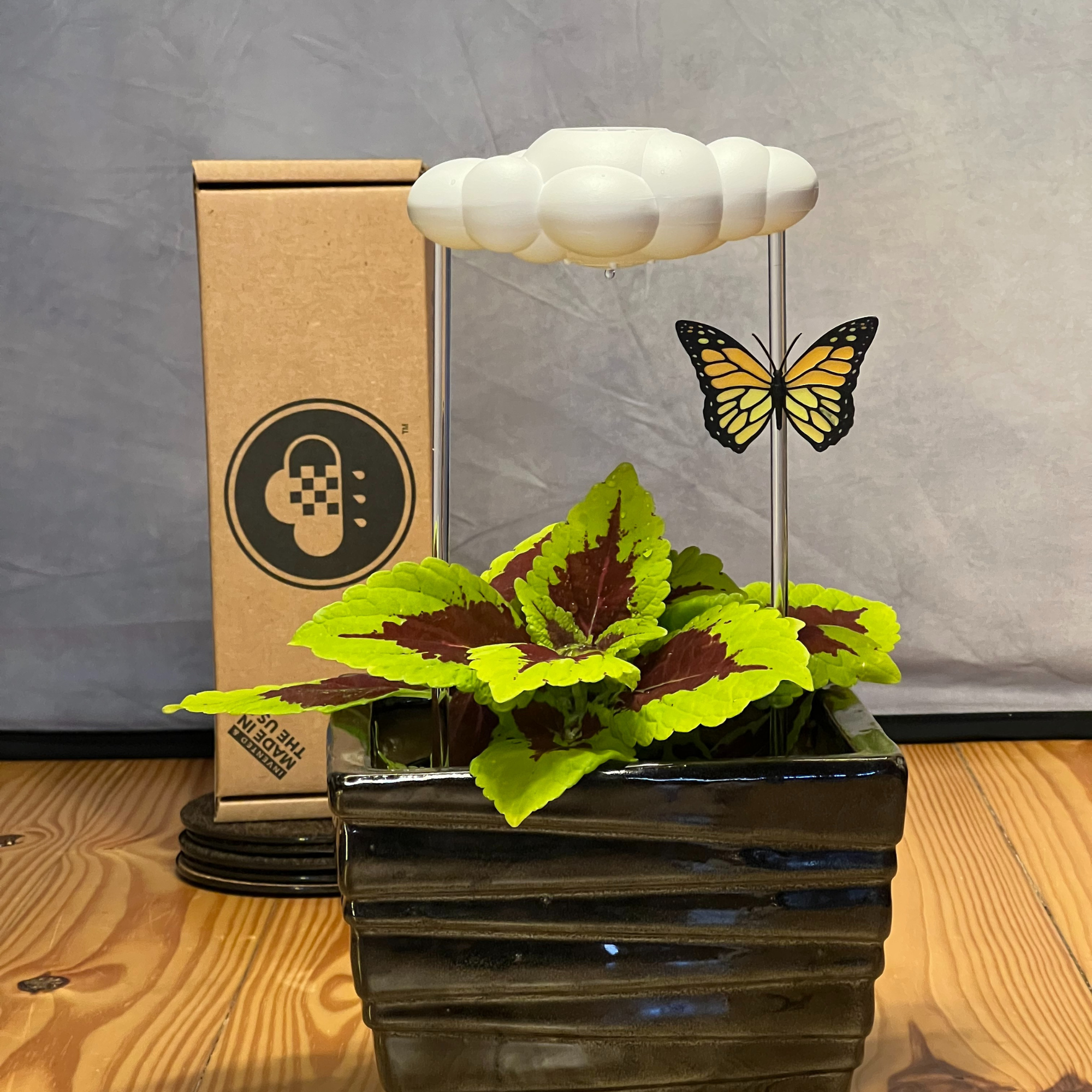 The Cloud Makers – Engroshandel Plantekrukke – Orange sommerfuglcharme til dryppende regnskyer7