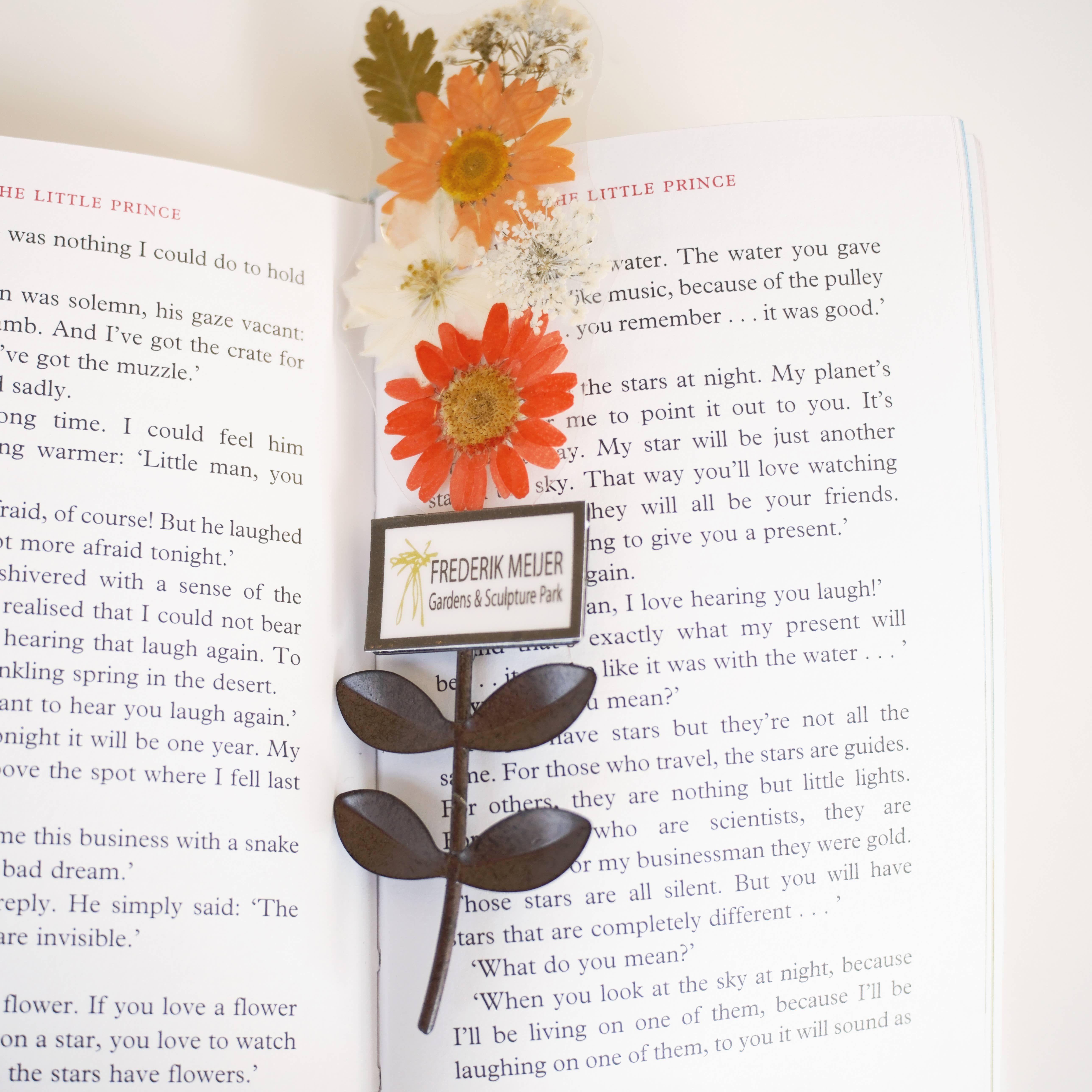 Sunnie Lane - Wholesale Dried/Pressed Flowers - Real Flower Gift & Souvenir - Custom Gifts8