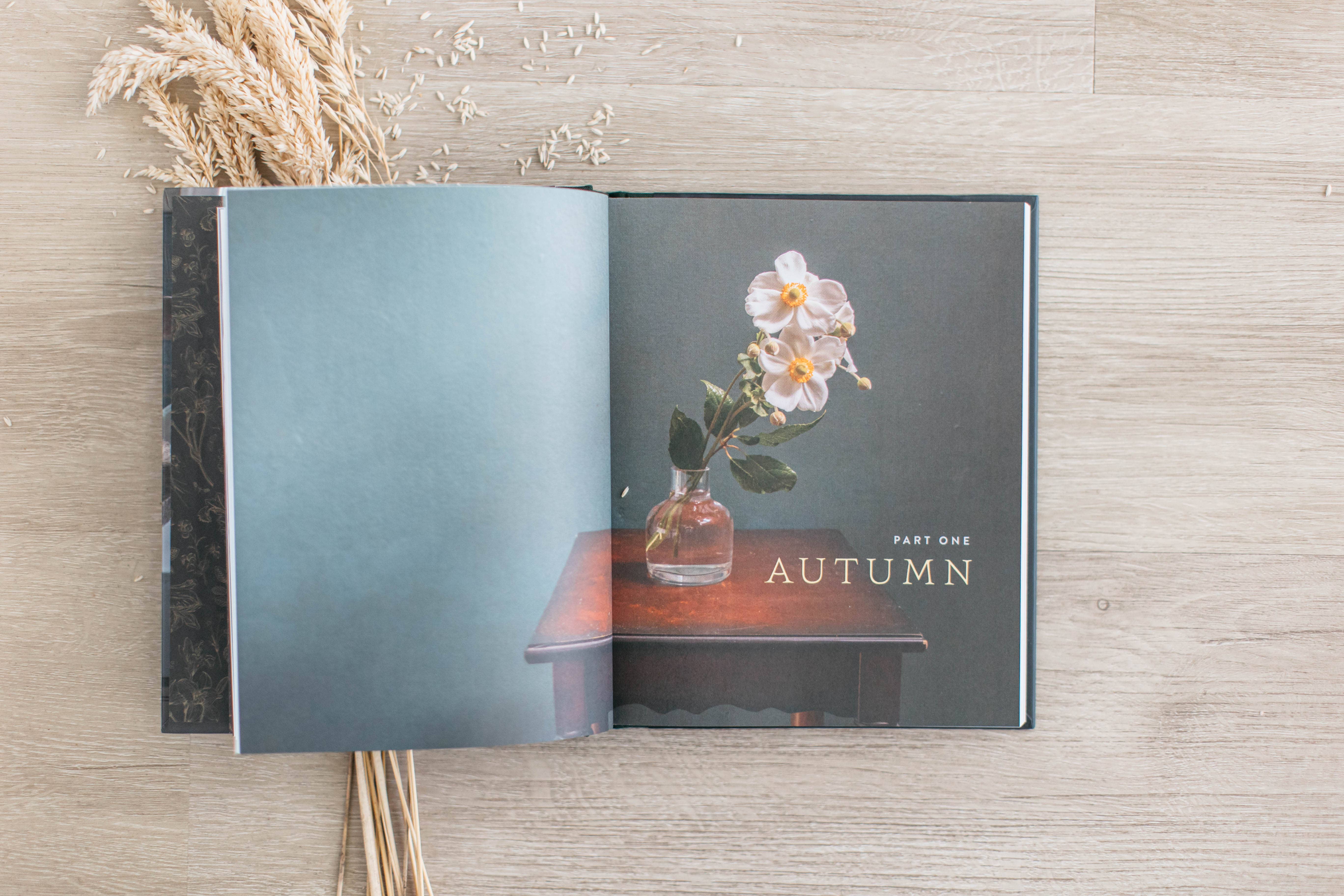 Harvest House Publishers Gift & Specialty Books - Wholesale Home & Garden - A Home in Bloom11