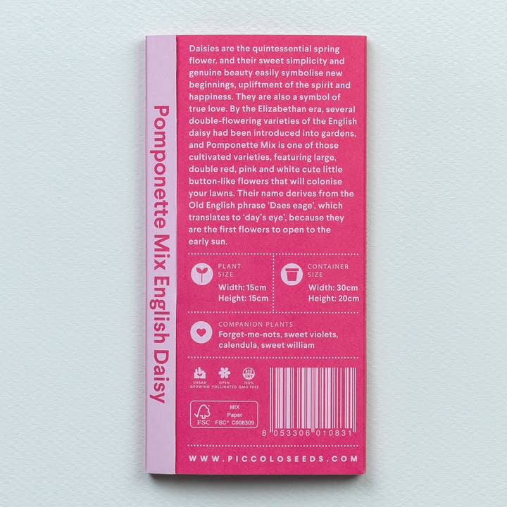 Piccolo Seeds - Vendita all'ingrosso Semi di piante - Pomponette Mix Margherite Inglesi2