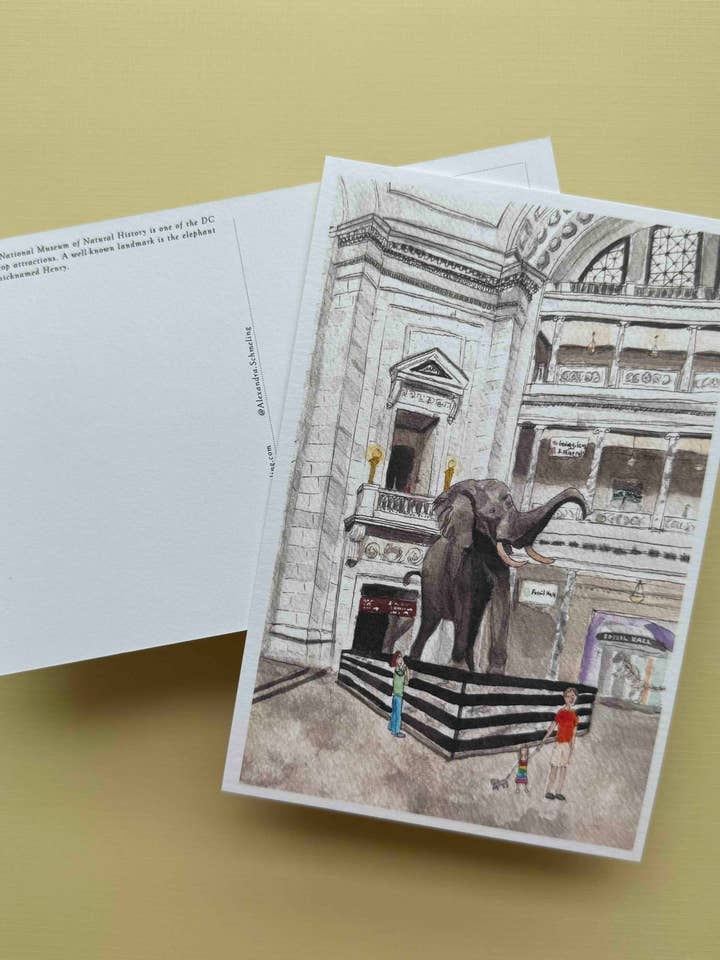Natural History Museum Postcard – Henry the Elephant DC for wholesale by Alexandra Schmeling Fine Art