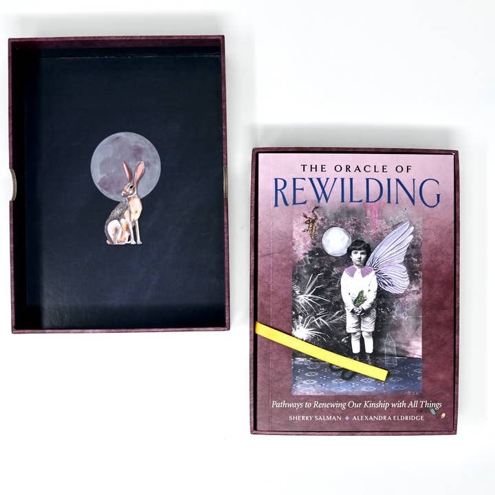Red Wheel/Weiser LLC - Wholesale Tarot Cards - The Oracle of Rewilding: 44 Cards & 176-Page Guidebook7