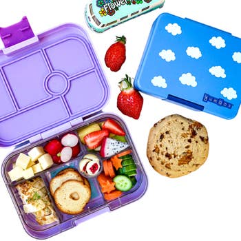 Buy Wholesale China Bento Box For Kids, Fruit Bento Box, Fruit
