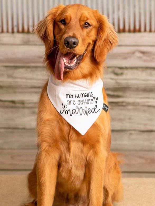 My Humans Are Getting Married Dog Bandana for wholesale by Tails Up, Pup