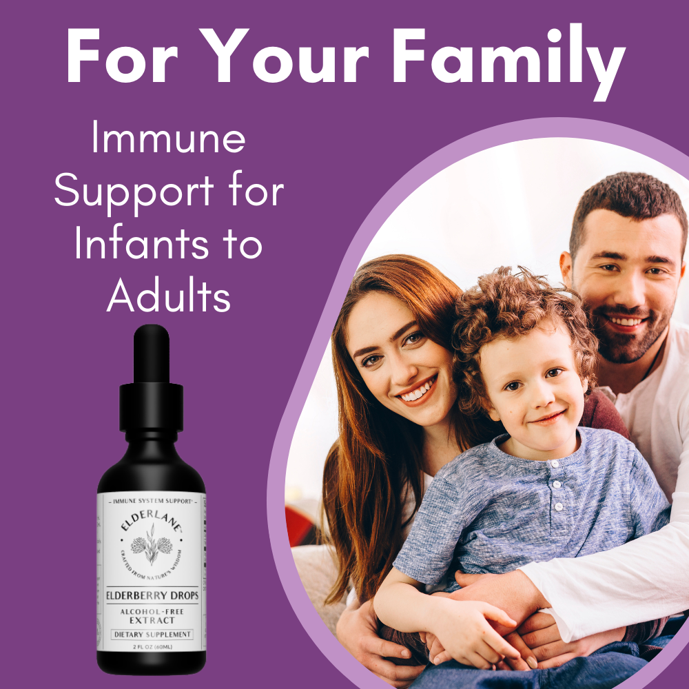 Elderlane® - Wholesale Oral Supplement/Vitamin - Elderberry Drops 2oz - Sugar-Free10