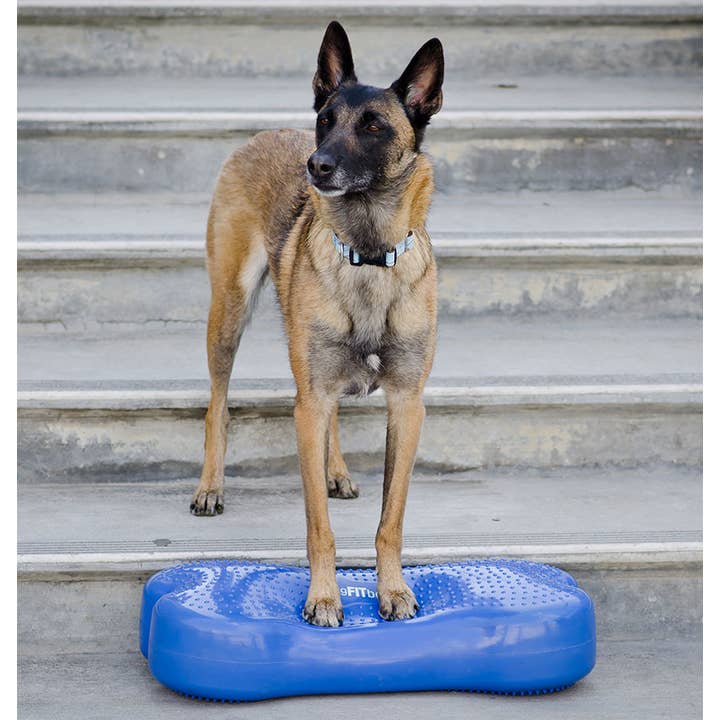 FitPAWS – wholesale Pet toy – Dog – CanineGym® K9FITbone Balance Training Platform – Original