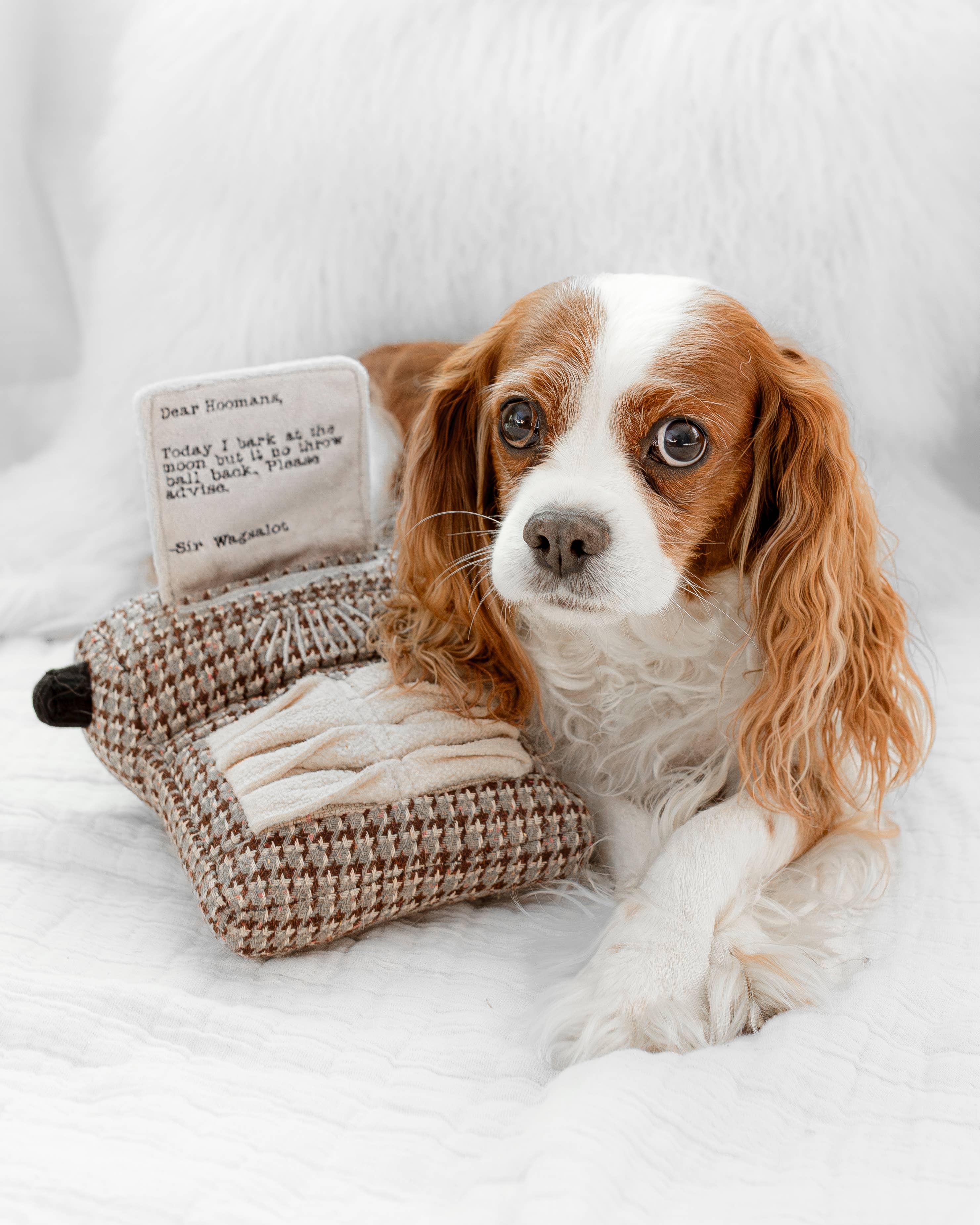 Lambwolf Collective - Wholesale Pet Toy - Dog - TYPEWRITER//ENRICHMENT DOG TOY 2