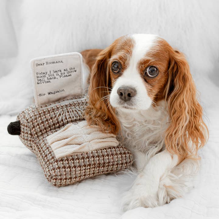 Lambwolf Collective - Wholesale Pet Toy - Dog - TYPEWRITER//ENRICHMENT DOG TOY 2