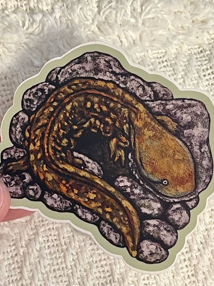 Hellbender Salamander Sticker for wholesale by ON THE GO Studio