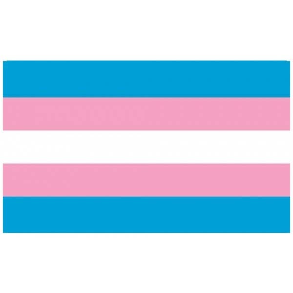 Transgender Monica Helms (Gay Pride - Rainbow) 5'x3' for wholesale by Worldwide Flags Ltd
