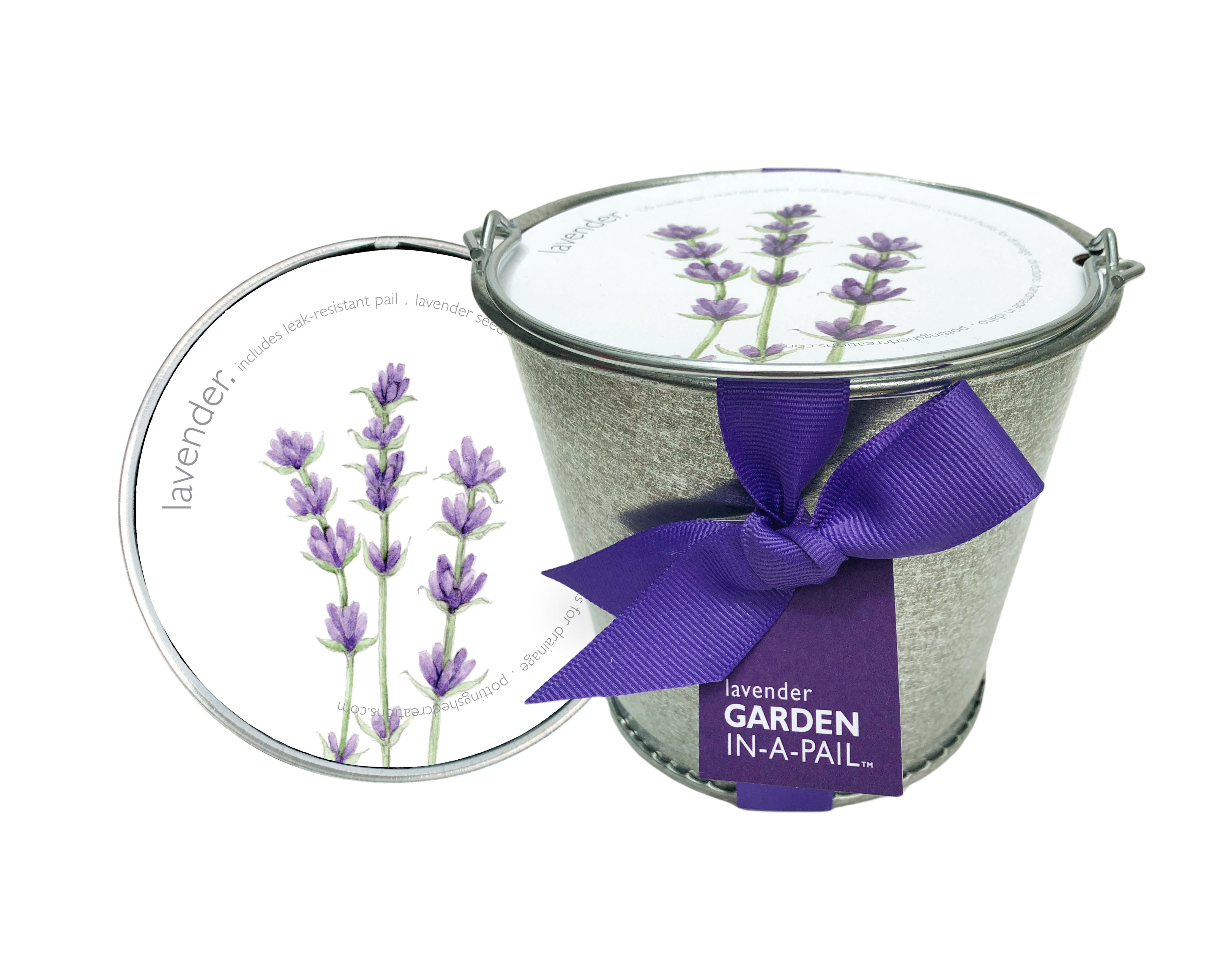 Potting Shed Creations, Ltd. - Wholesale Plant Seeds - Garden in a Pail | Lavender | Calming Spring Gift6