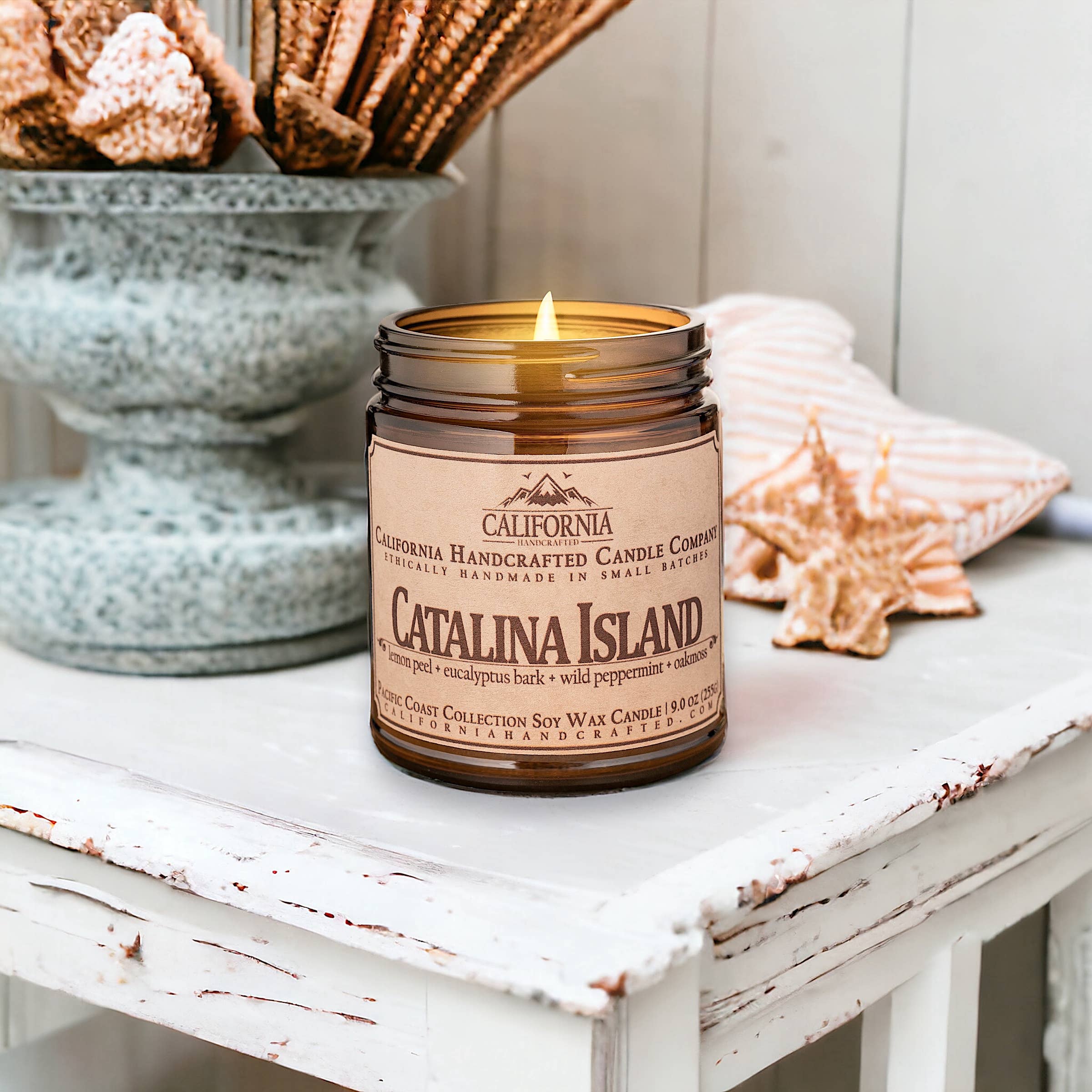 California Handcrafted - Vendita all'ingrosso Candele da viaggio - Candela in barattolo al cocco e albicocca dell'Isola di Catalina3