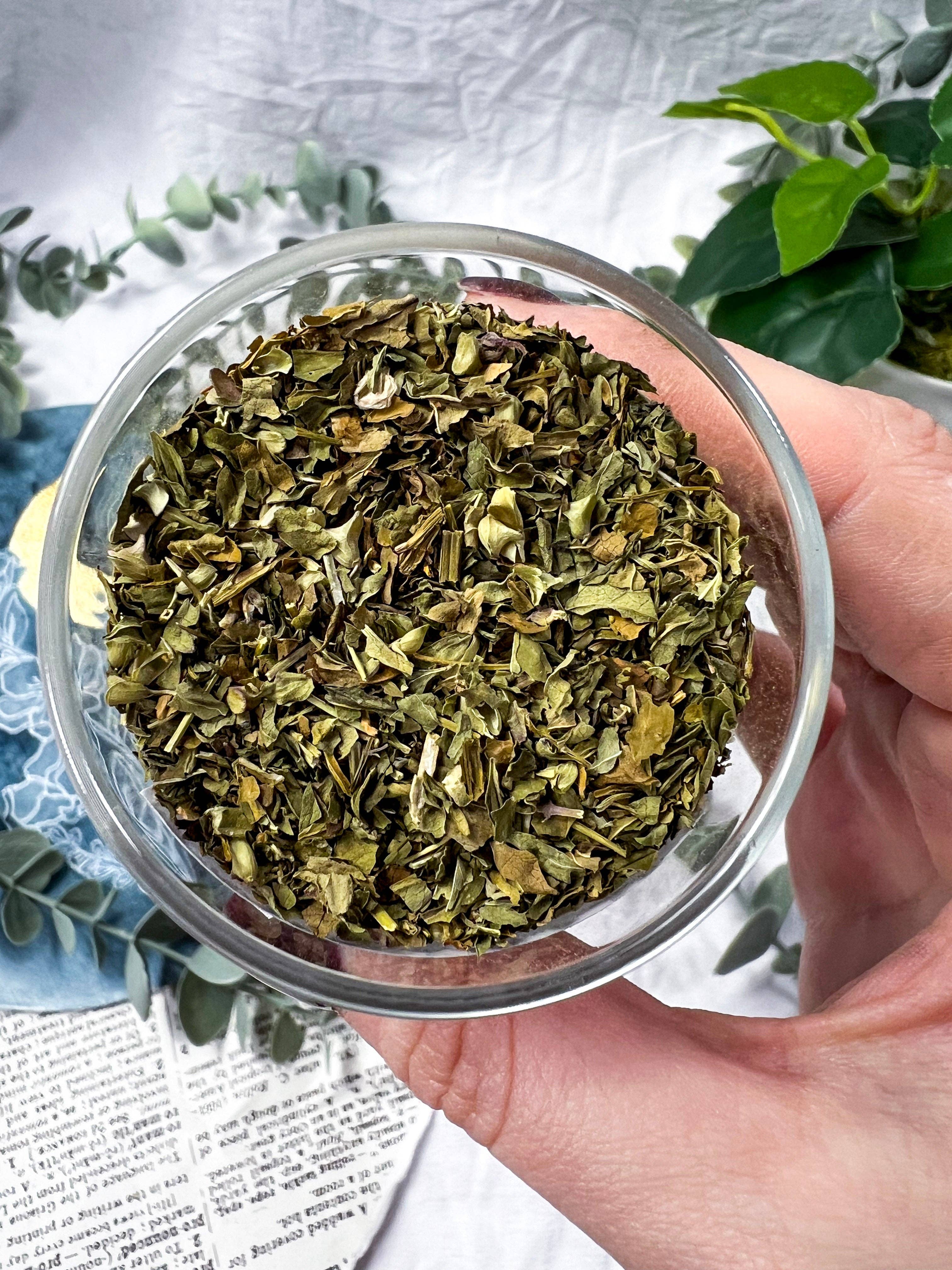 Moon Street Kits - Wholesale Herbs - Skullcap Herb for Calm, Protection & Energetic Recovery2