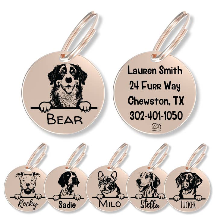 PawFurEver - Wholesale Pet identification tag – Dog - Personalized Breed Dog Tag (Bernese Mount)11