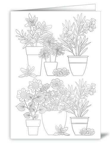 Actetre Deutschland Gmbh - Wholesale Coloring & Activity Book - Adult - flower pots (for coloring), 65030