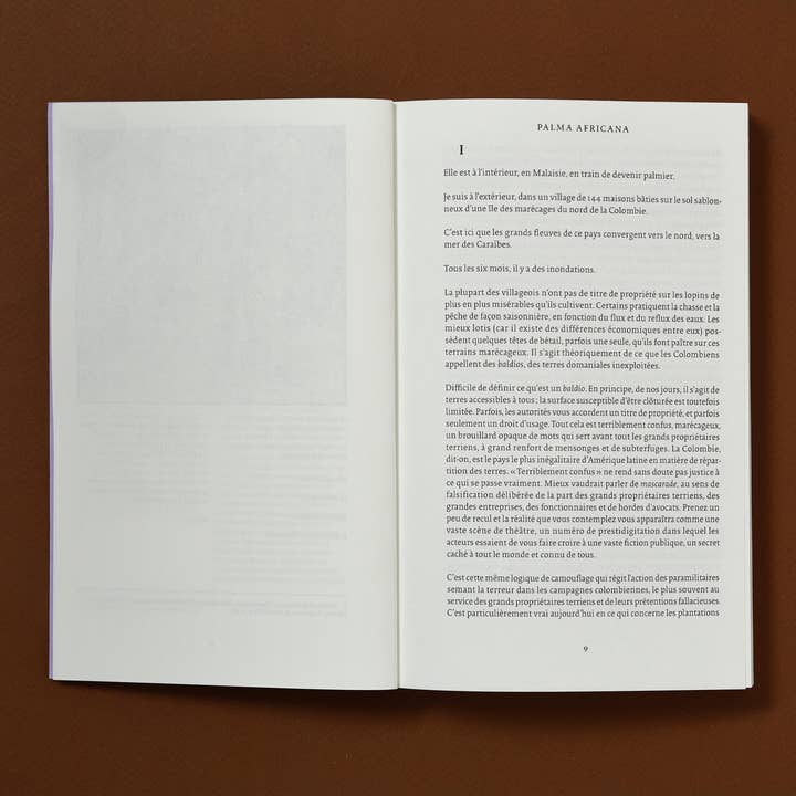 ÉDITIONS B42 - Wholesale Book - Adult - Palma africana