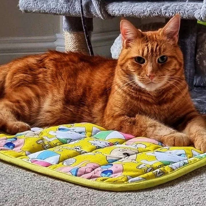 WufWuf - Wholesale Pet Mat - Dog - MyMeow Funshine Cool Cat Mat, Cooling Pet Mat, 48cm x 60cm