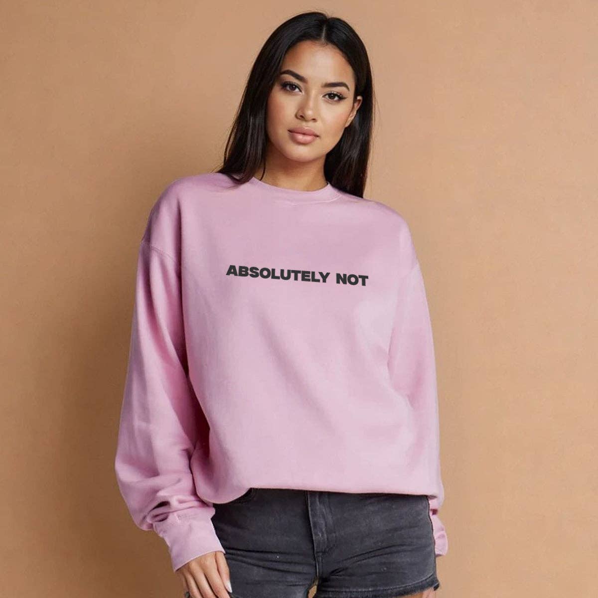 Pink Absolutely Not Sweatshirt for wholesale on Faire0