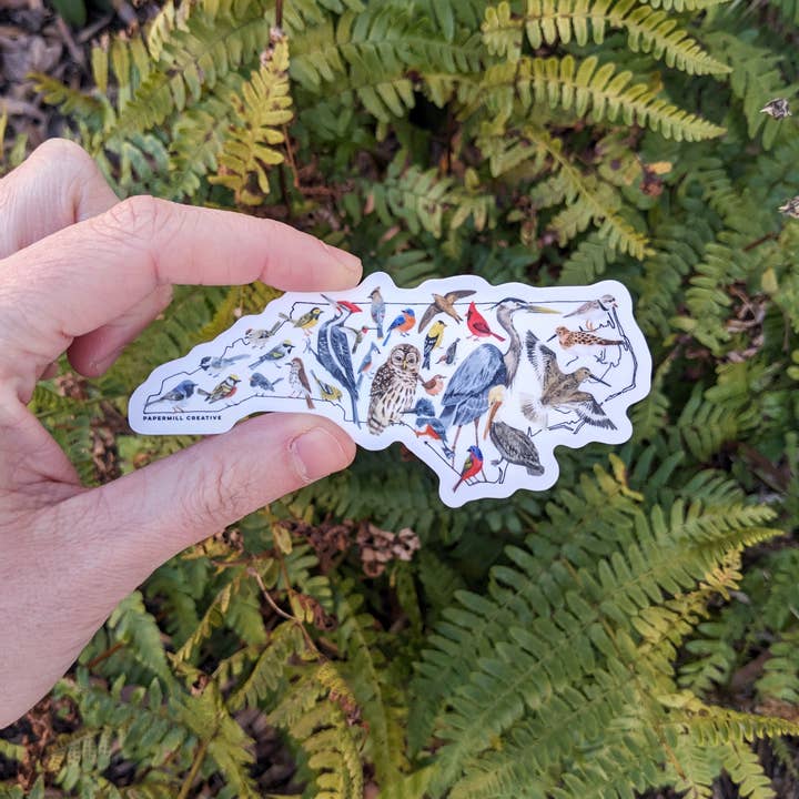Papermill Creative - Wholesale Sticker - North Carolina Birds vinyl sticker1