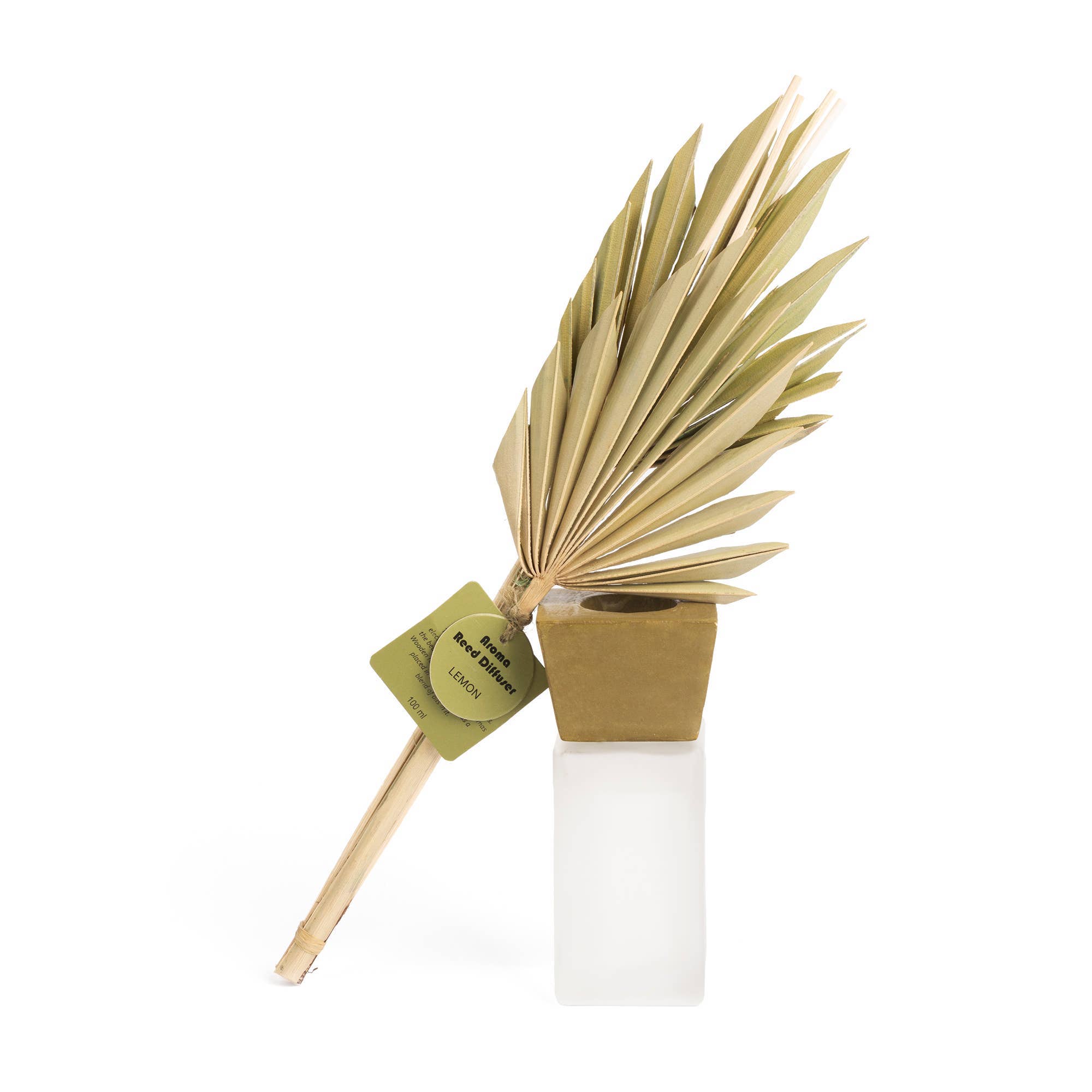 Helio Ferretti Candles & Co. - Vente Diffuseur à tiges - DIFFUSEUR DE PARFUM DE CITRON VERT (100 ML) HF3