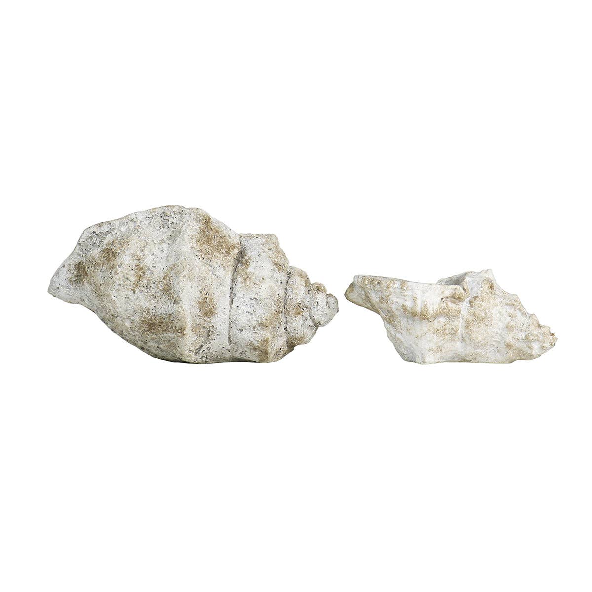 Blue Ocean Traders - Wholesale Decorative Tabletop Object - Cast Concrete Conch Shell3