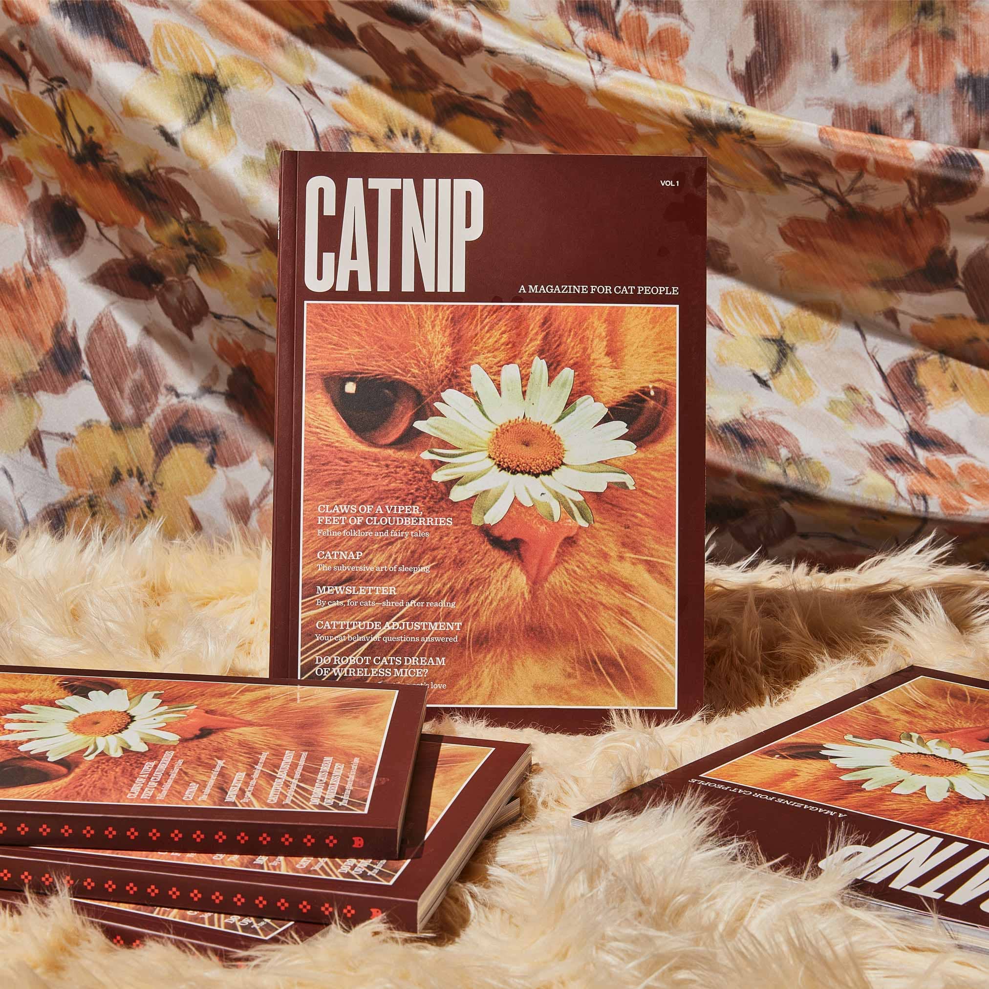 Broccoli - Wholesale Magazine - Catnip Magazine1