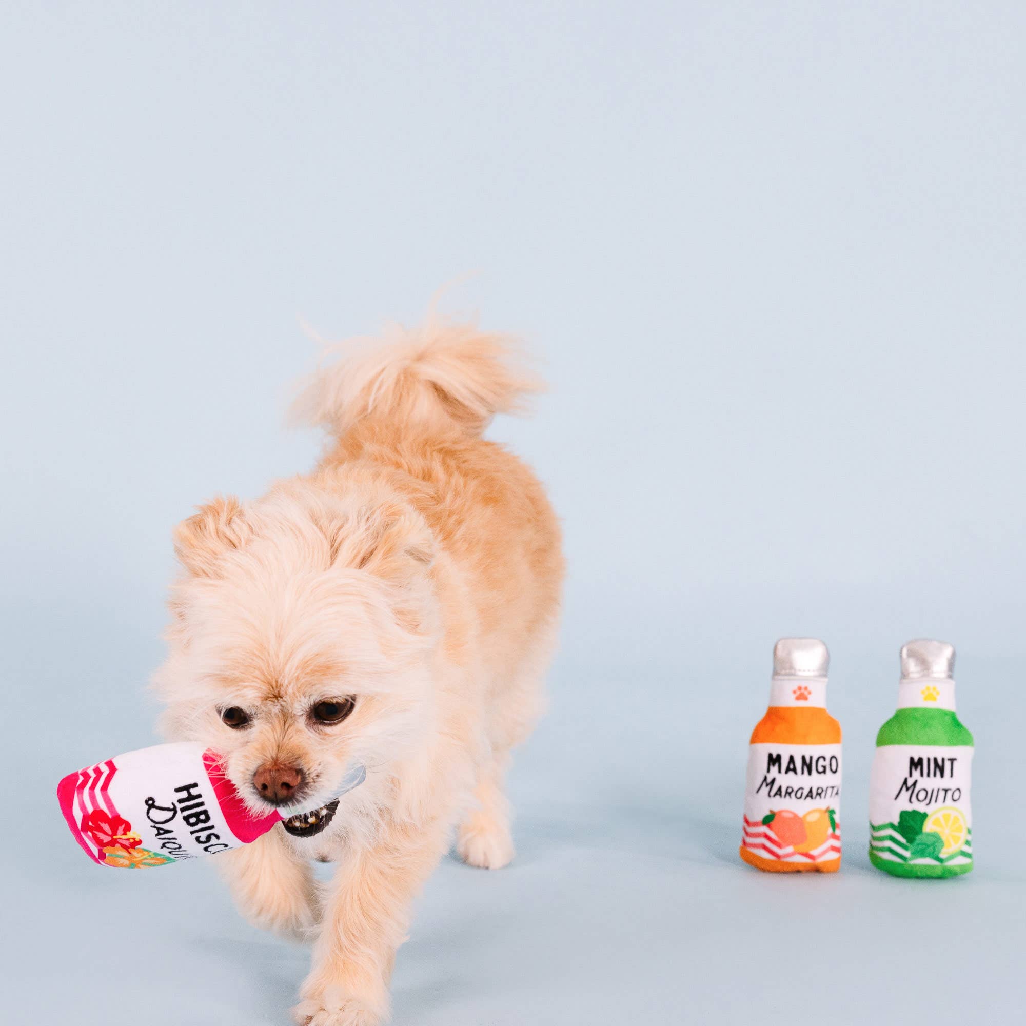 Petshop by Fringe Studio - Wholesale Pet Toy Set - Dog - FROM COOLER 3 PIECE SMALL DOG TOY SET3