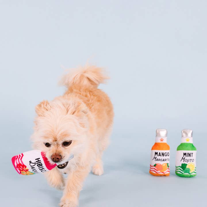 Petshop by Fringe Studio - Wholesale Pet Toy Set - Dog - FROM COOLER 3 PIECE SMALL DOG TOY SET3