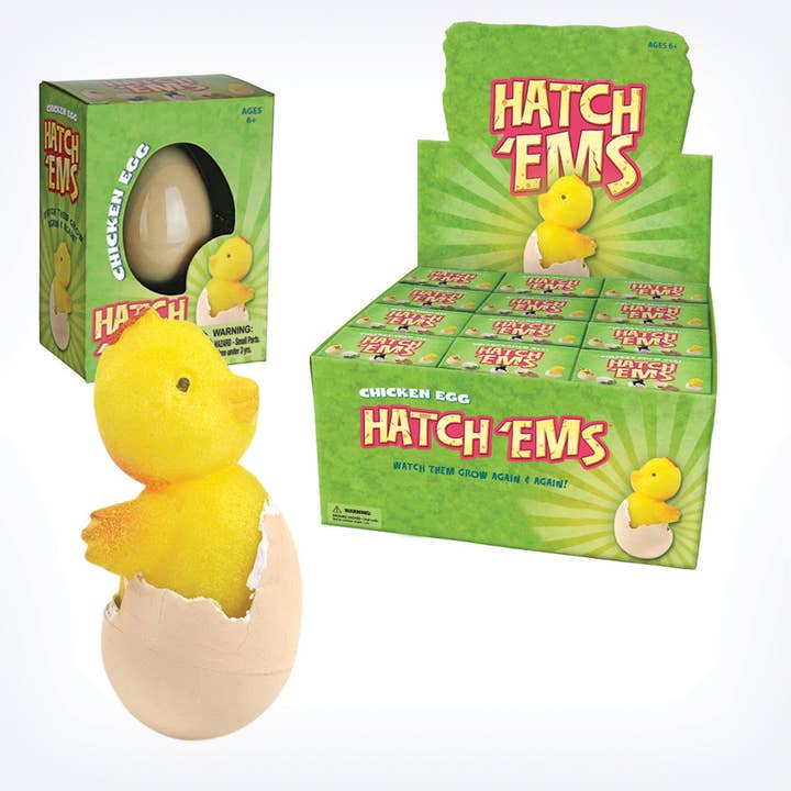 GeoCentral – wholesale Classic toy – Kids – Chicken Eggs (Mini Hatch'ems) | Watch them Grow!