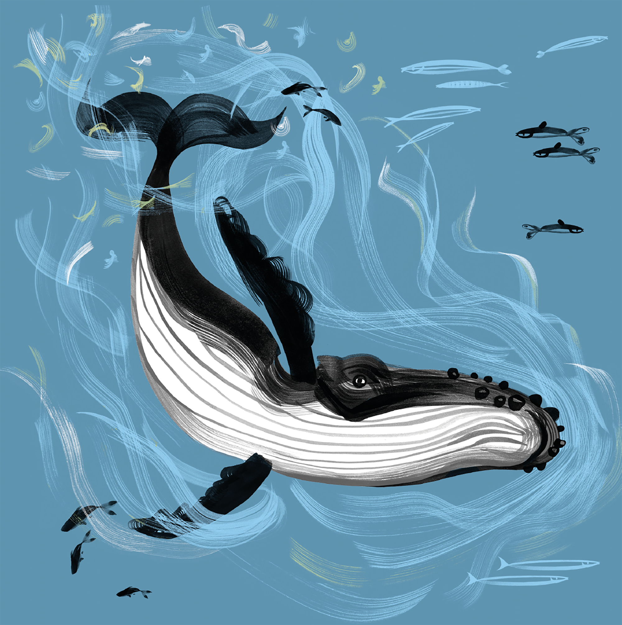 Lydia. London – wholesale Everyday greeting card – SEA OUR OCEANS 'HUMPBACK WHALE' CARD1