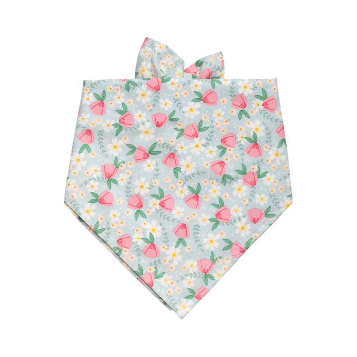 Beste Vrienden Hondenbandana voor wholesale door Crew LaLa