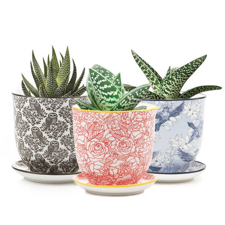 Chive UK - Wholesale Plant pot - Liberte Ceramic Pottery Home Decor Planter Set For Succulent29