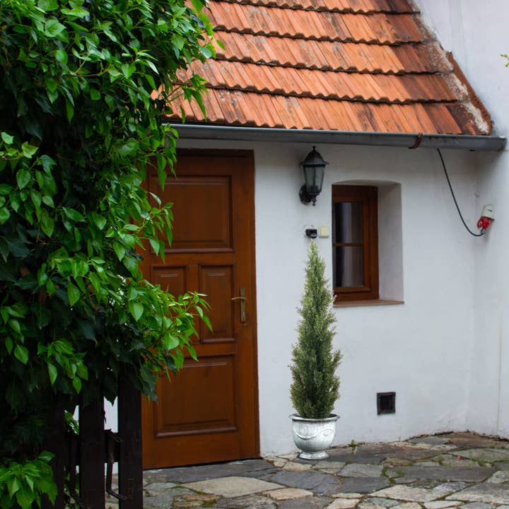 Larksilk - Wholesale Artificial Plant - Cedar Topiary Tree In Black Pot - 60In.1