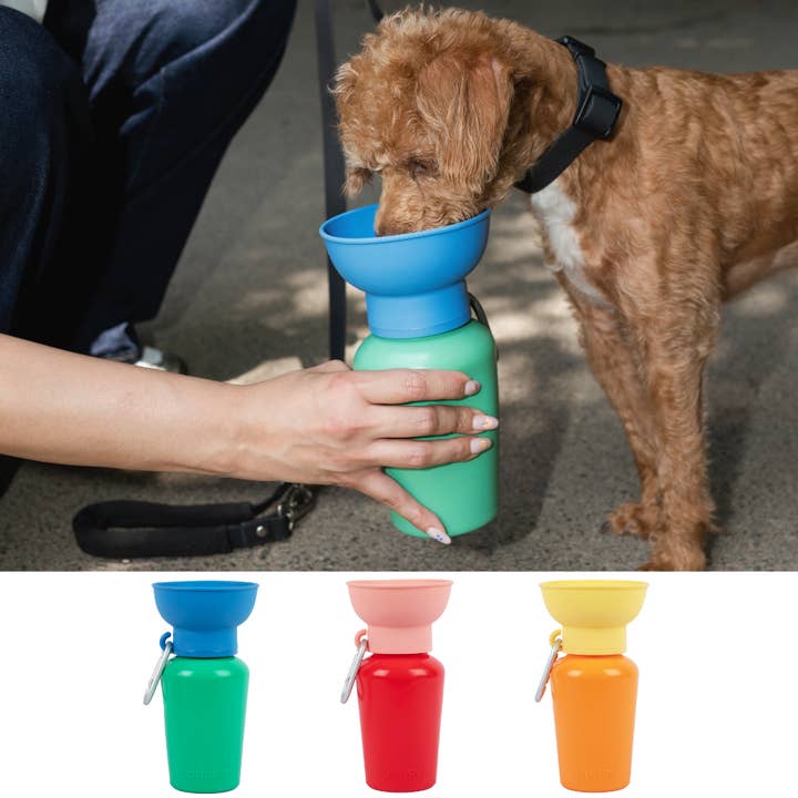 Springer Pets - Wholesale Pet Water Bottle - Dog - Dog Travel Water Bottle, 20oz, Flip Seasonal (12 Pack)