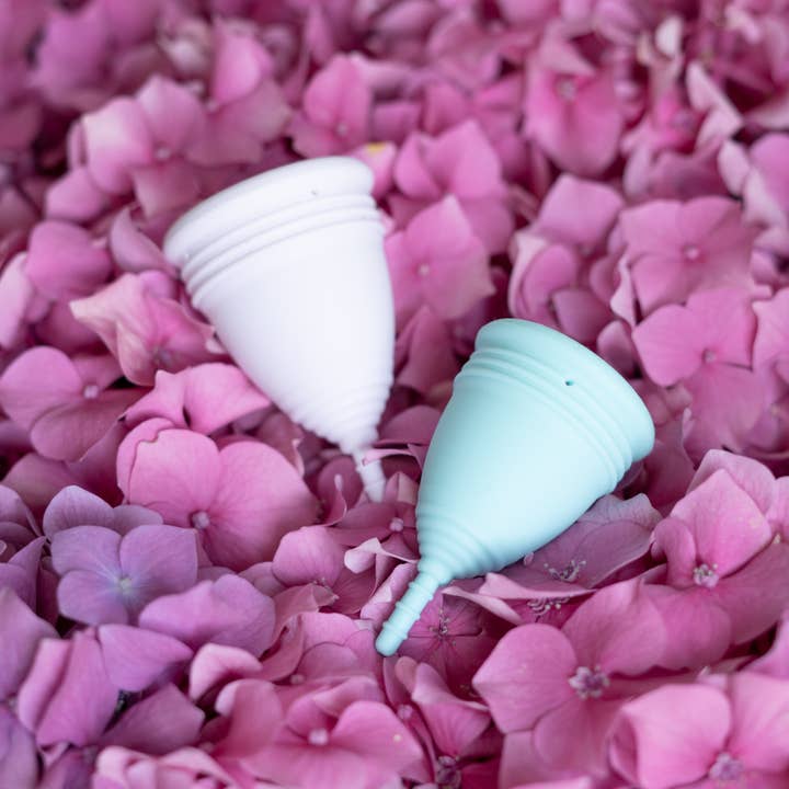 FLON - Wholesale Menstrual Cup - Menstrual Cup Set includes a storage bag and/ sterilizer cup11