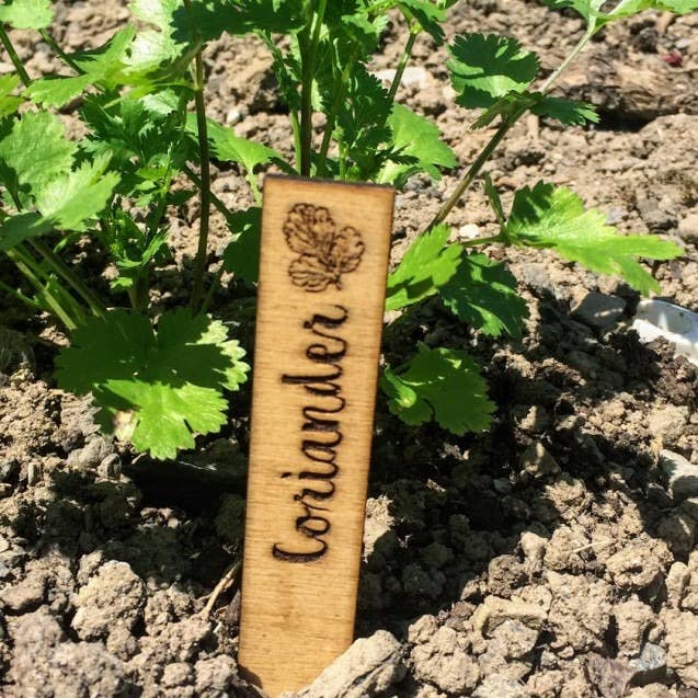 Marqueurs d'herbes pour la vente par Cornish Whispers