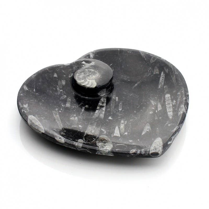 UniArt - Vente Objets de décoration - Assiettes décoratives avec ammonites et orthoceras authentiques9