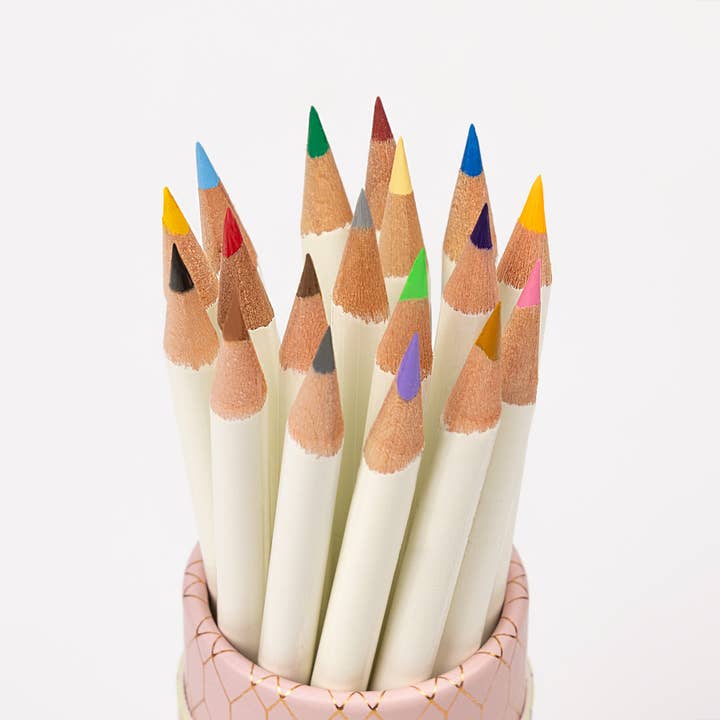 Tombow - Wholesale Colored Pencil - Irojiten Desk Cup, Cottage3