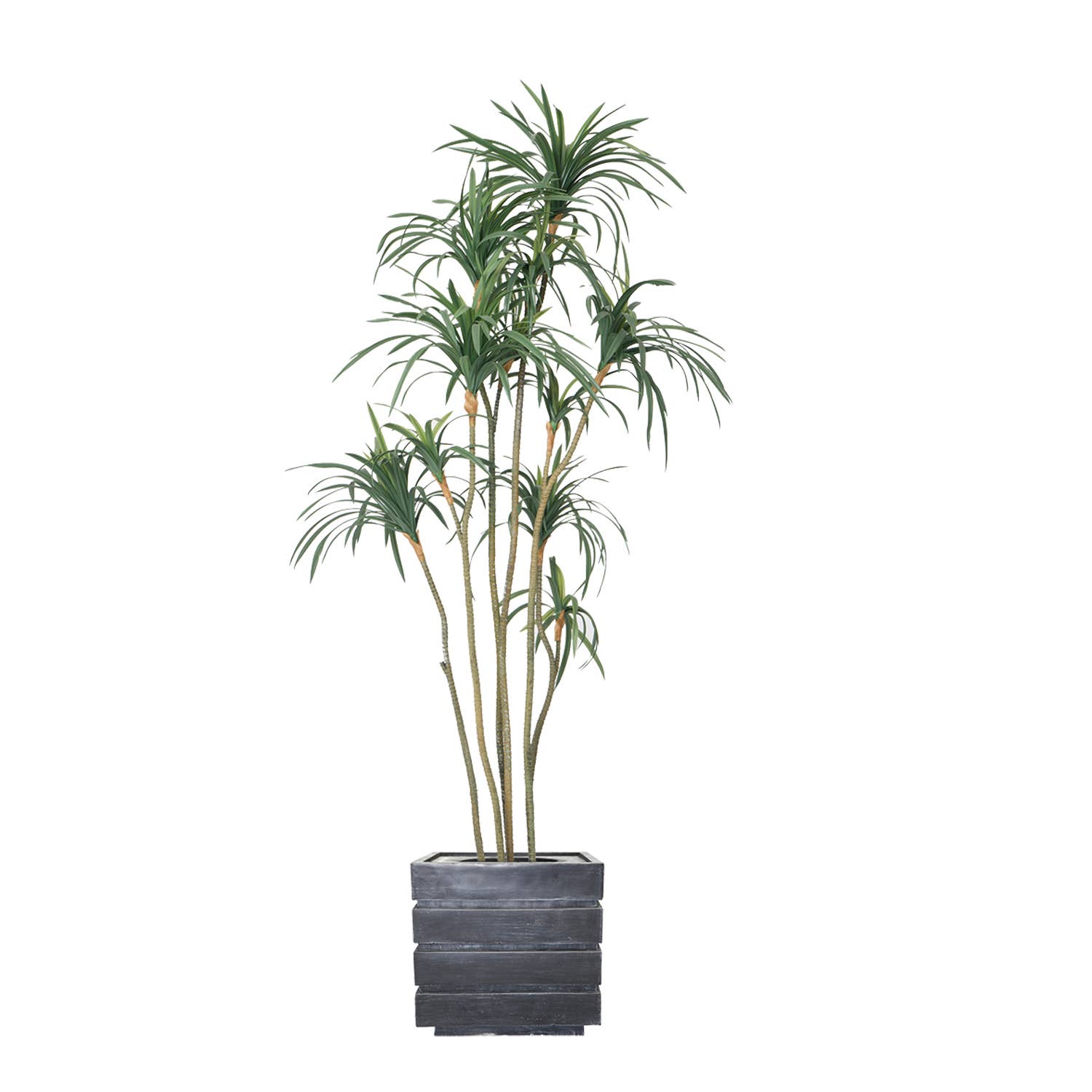 Vintage Home - Wholesale Artificial Plant - 80"H Artificial Dragon tree0