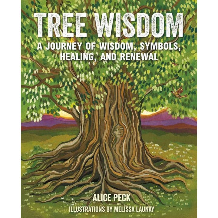 Microcosm Publishing & Distribution - Wholesale Book - Adult - Tree Wisdom: A Journey of Wisdom, Symbols, Healing