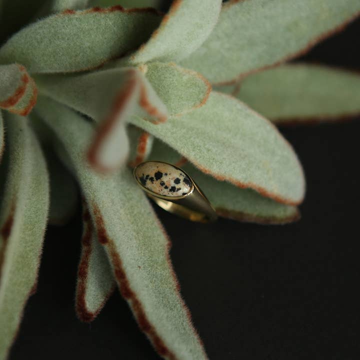 CIVAL Collective - Wholesale Signet Ring - Koda Ring28