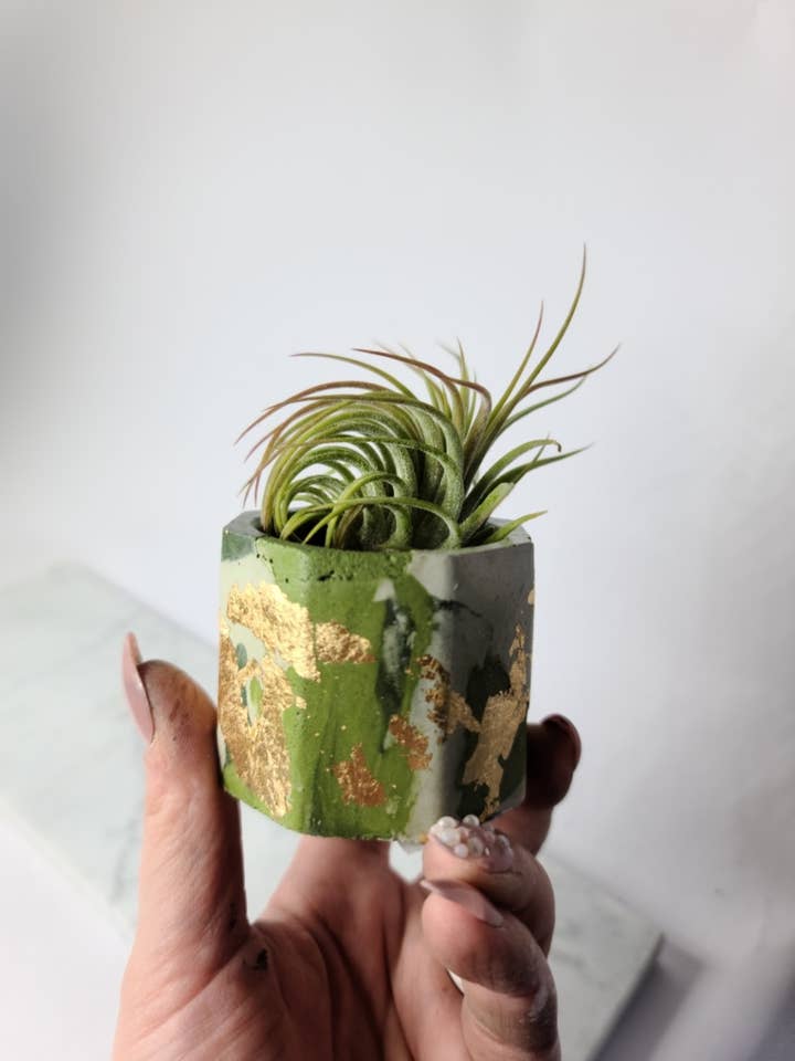 Helen Concrete Pot Vessel | Airplant Colored Cement Planter for wholesale by Geoform Designs