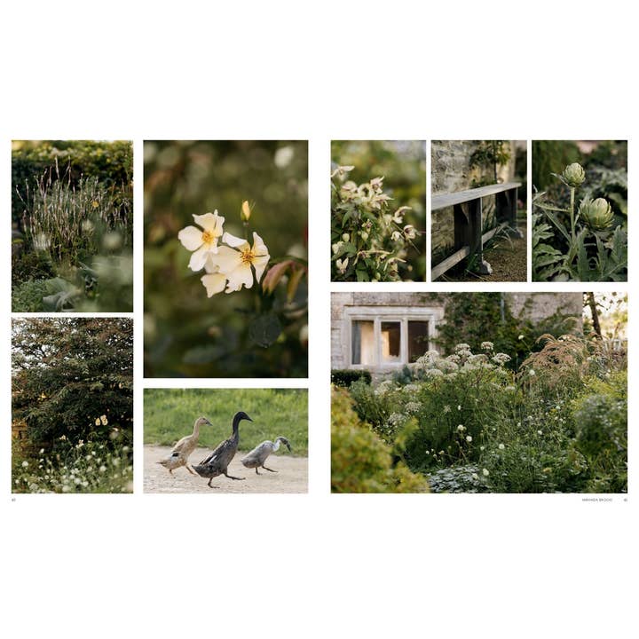 Chronicle Books - Wholesale Home & Garden - Wonderlands3